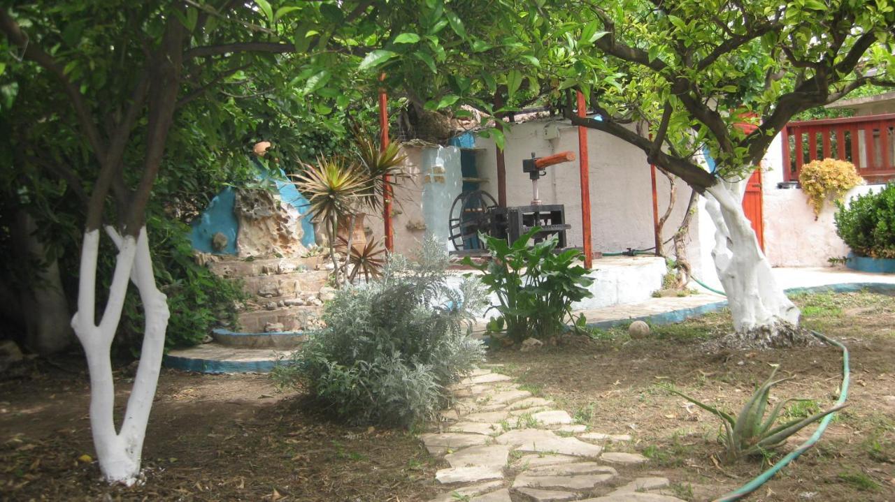 Theodora Aparthotel Makriyialos Bagian luar foto